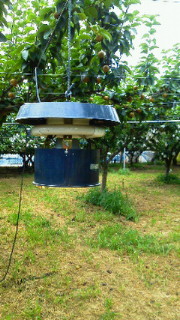 201107181241001.jpg