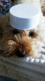 201107180808000.jpg