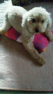201106221813000.jpg