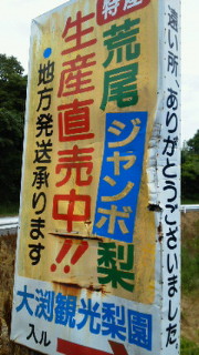 201107181259000.jpg