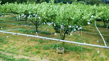201107191232000.jpg