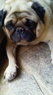 201107191235000.jpg