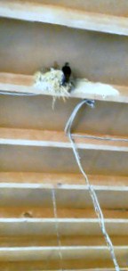 201107221220000.jpg
