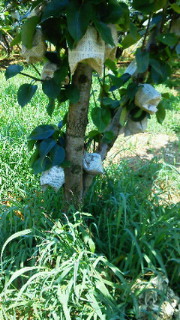 201107221239001.jpg