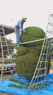201107261624000.jpg