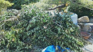201107281427000.jpg
