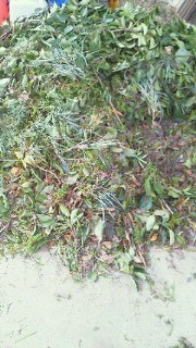 201107281427001.jpg