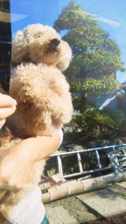 201109230904000.jpg