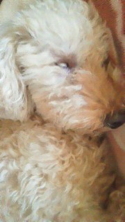 201109241329001.jpg
