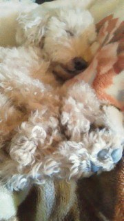 201109241330000.jpg
