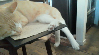 201110101703000.jpg