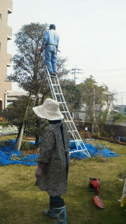 201111271028000.jpg
