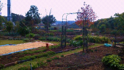 201111271347000.jpg