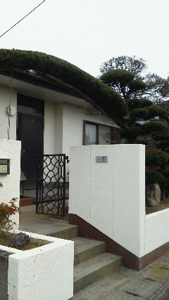 201111281436001.jpg