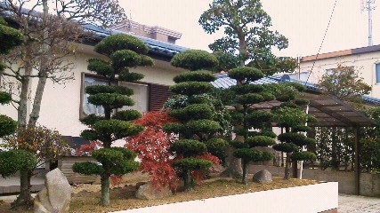 201111281436002.jpg