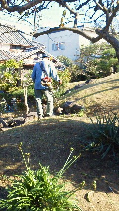201111201408001.jpg