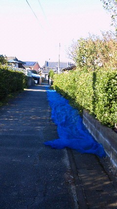 201111201533000.jpg
