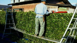 201111201541000.jpg