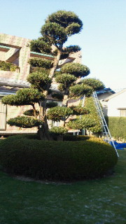 201111291607000.jpg