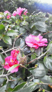 201111301558000.jpg