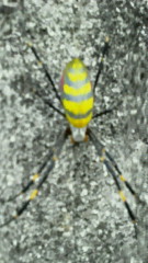 201111301630000.jpg