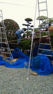 201112021448001.jpg