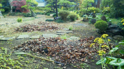 201112081432000.jpg
