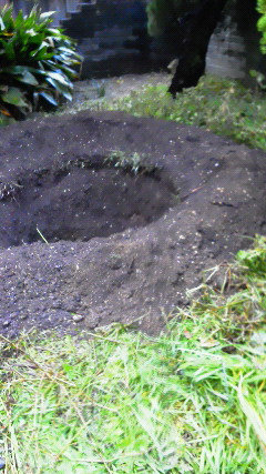 201112081528000.jpg
