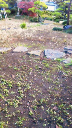 201112081619000.jpg