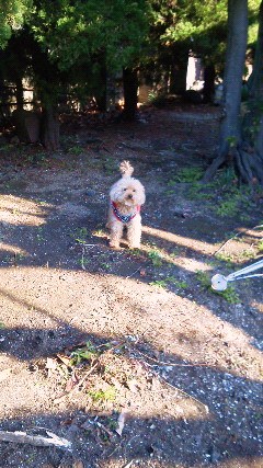 201112131119000.jpg