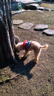 201112131137000.jpg