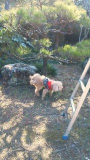 201112131138000.jpg