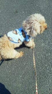 201112141318001.jpg