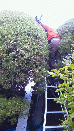 201112161147000.jpg