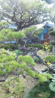 201112201408000.jpg