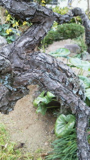 201112201408001.jpg