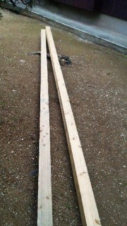 201112201455000.jpg