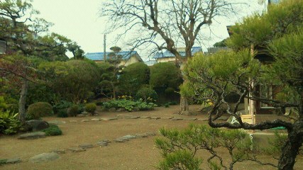 201112201540000.jpg