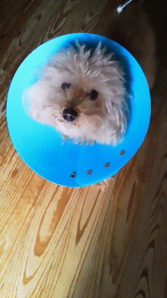 201112211003000.jpg