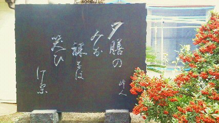 201112211054000.jpg