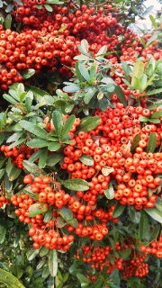 201112211057000.jpg