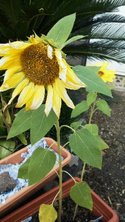 201112211057001.jpg