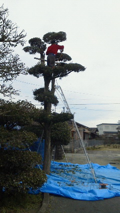 201201220840000.jpg