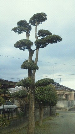 201201221545001.jpg