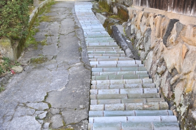DSC_3991.JPG