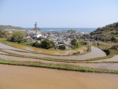 DSCN4100.JPG