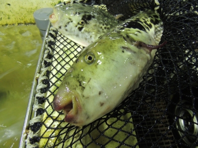 DSCN4296.JPG