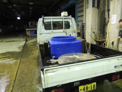 DSCN4315.JPG