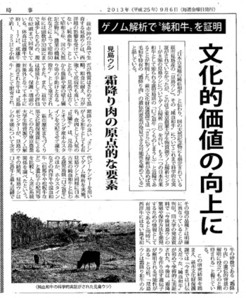 はぎ時事20130306見島牛.jpg