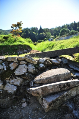 DSC_0304.JPG